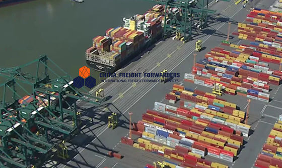 Transporte marítimo de Shenzhen con seguro opcional y seguimiento