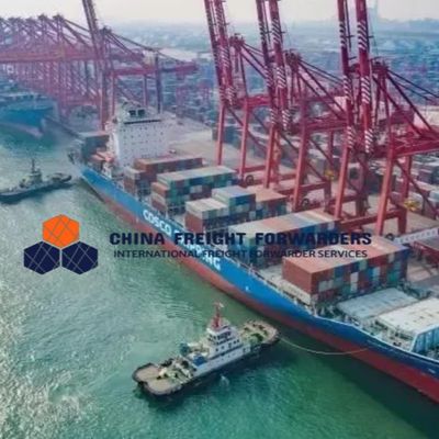 Logística Transporte marítimo internacional Transporte de mercancías desde China a Australia DDU/DDP