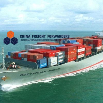DDU/DDP Fast International Ocean Freight Forwarder desde China hasta el Reino Unido