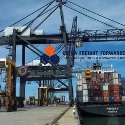 Transporte marítimo rápido Envío de contenedores completos de China a Canadá