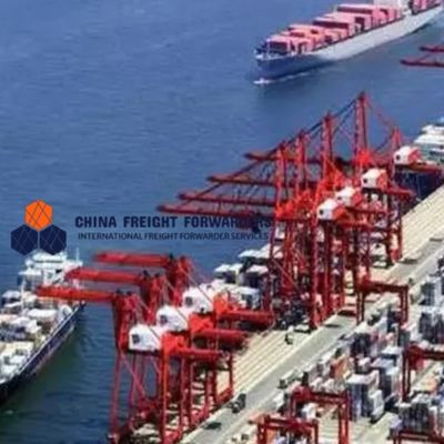 20GP 40GP Transporte internacional de mercancías por mar desde China a los EE.UU.