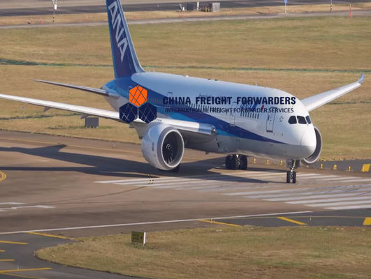 Transporte aéreo más rápido Transporte personalizado puerta a puerta Envío desde China FIATA